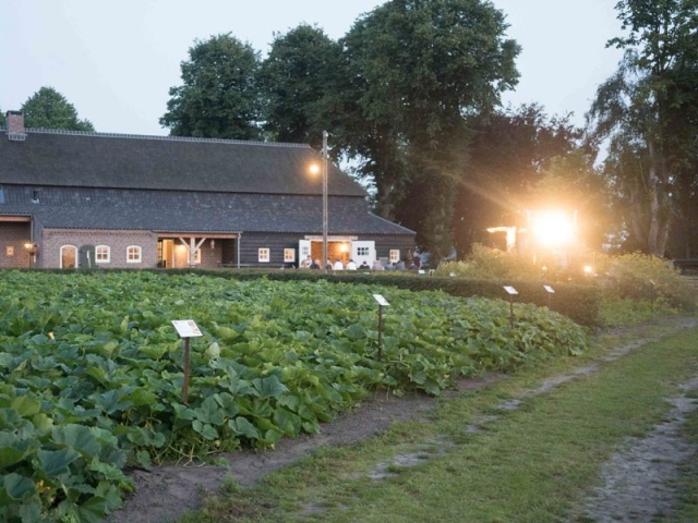 Bijzondere barbecue in de groentetuin op de Peelrandbreuk