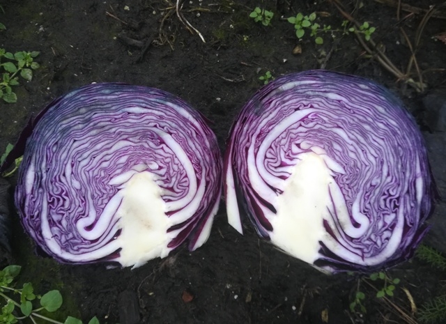 Granat Bewaar