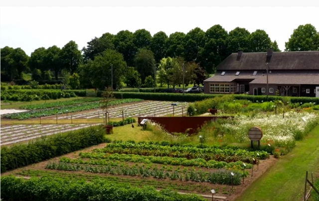 De onvergetelijke groentetuin op de Peelrandbreuk ontdekken